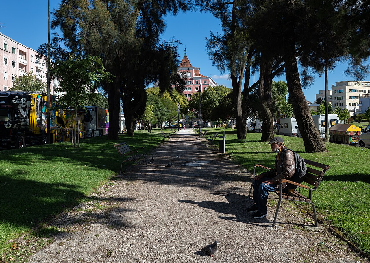 Un hombre mayor sentado solo en un banco de un parque, en un camino vacío rodeado de árboles