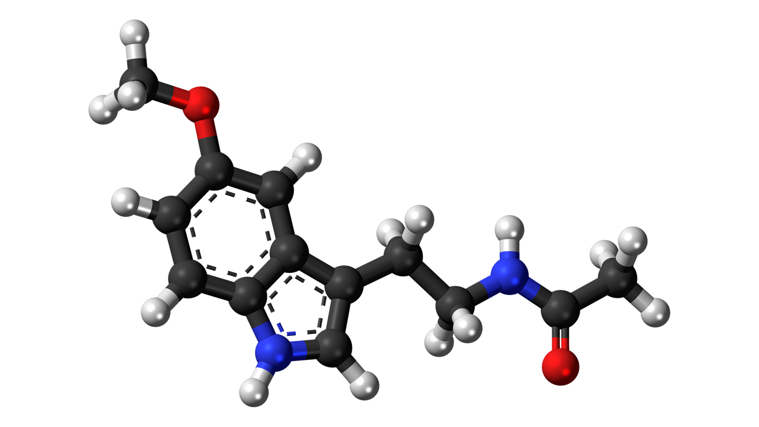 Modelo tridimensional de bolas y varillas de la molécula de melatonina: átomos de carbono en negro, de hidrógeno en blanco, de nitrógeno en azul y de oxígeno en rojo, sobre fondo blanco