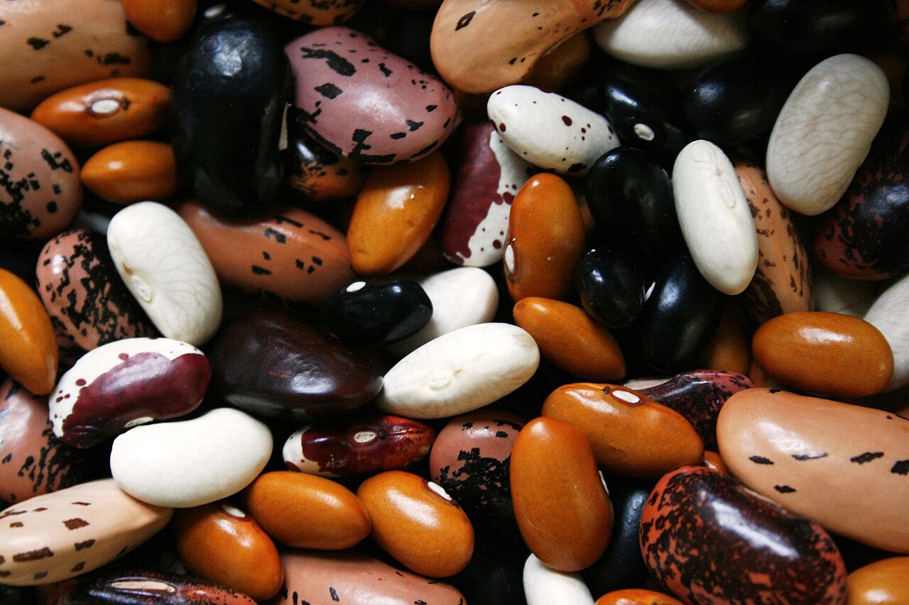Un montón de alubias secas de varios colores y tamaños