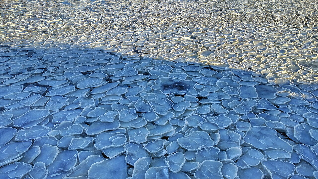 Hielo en forma de panqueque sobre la superficie del mar de Ross, en la Antártida, en una fotografía de archivo de 2017