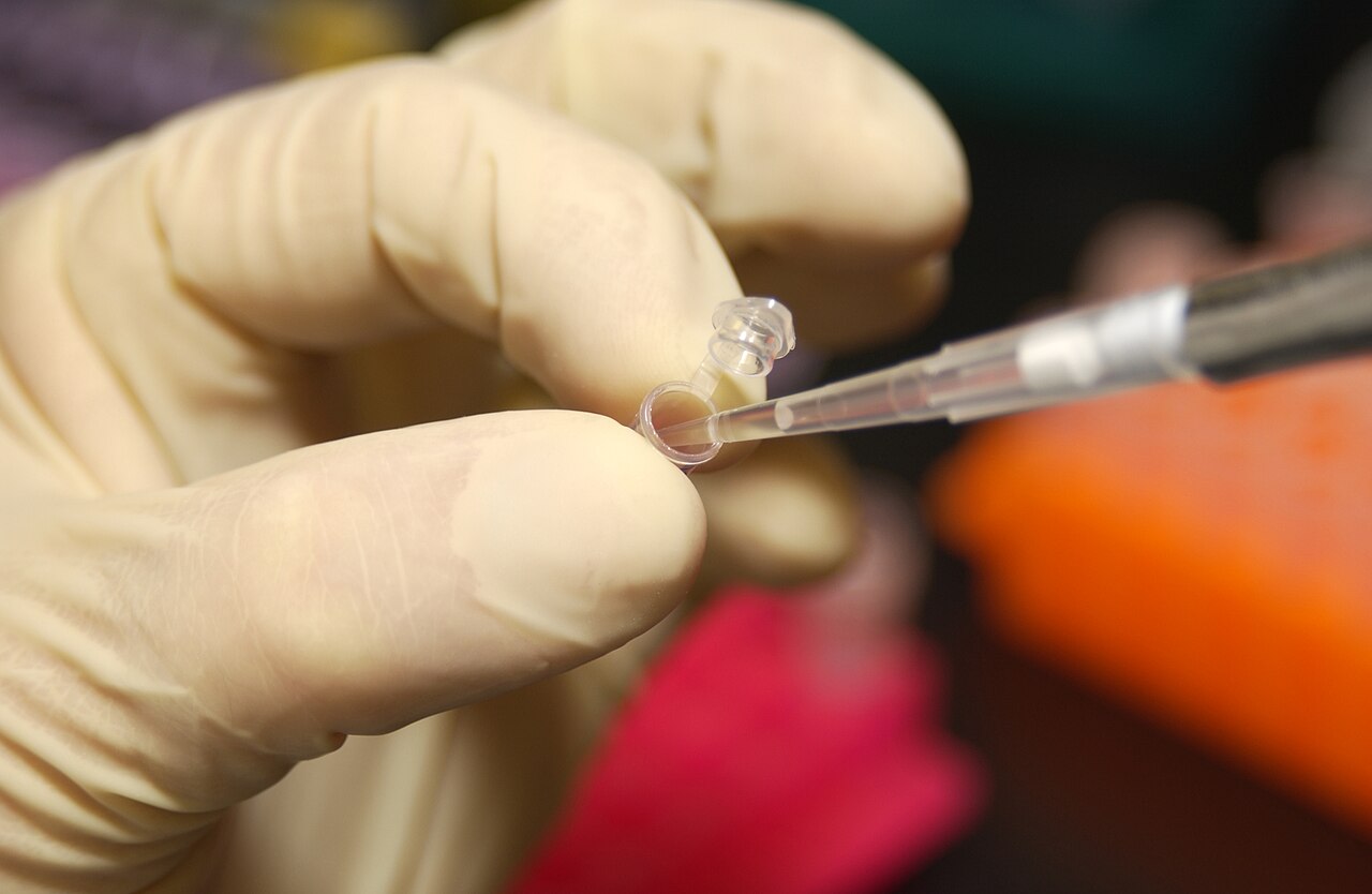 Una mano enguantada sostiene un microtubo de laboratorio mientras una pipeta añade líquido en su interior